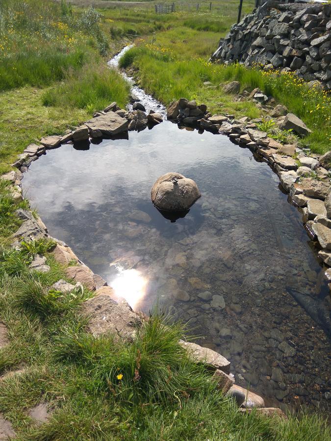 Hotel Laugarholl With Natural Hot Spring Холмавик Екстериор снимка